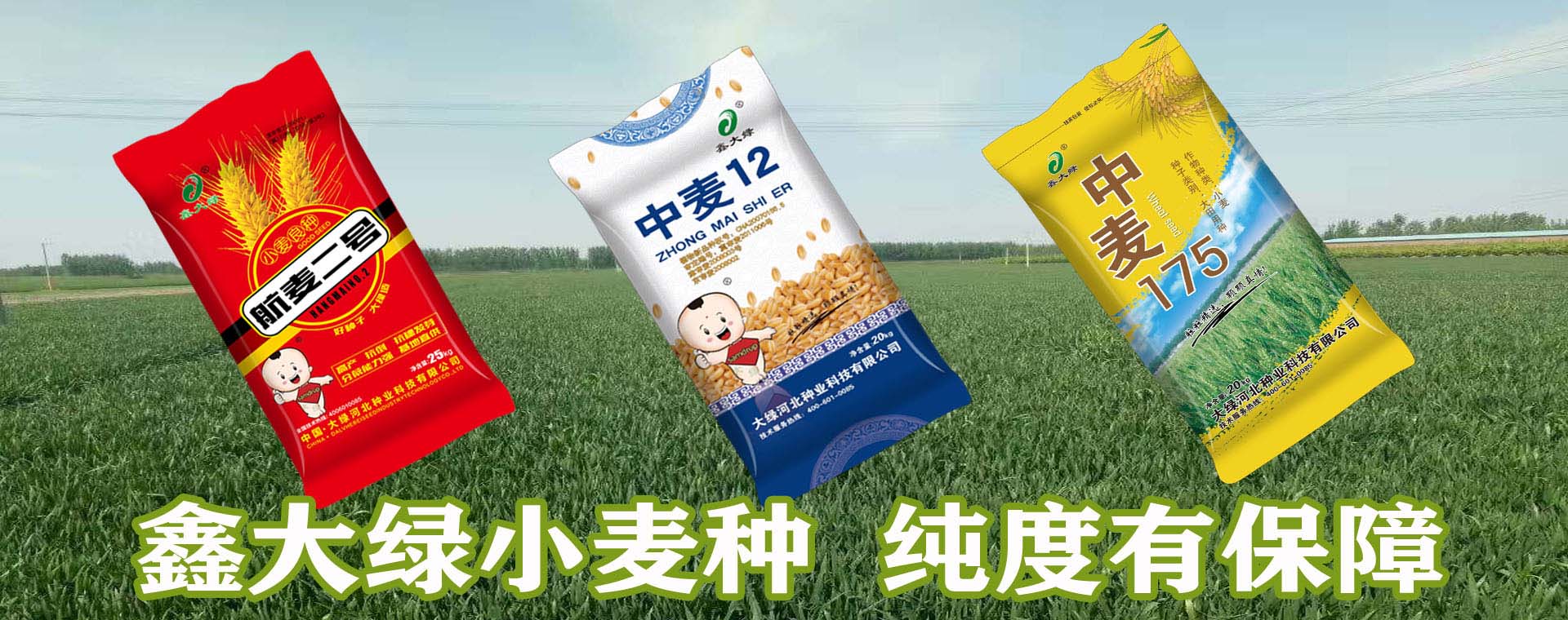 大绿河北种业科技有限公司