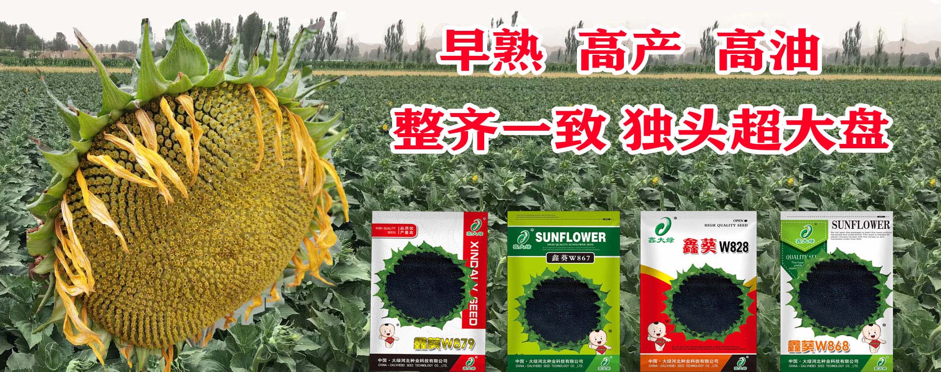 大绿河北种业科技有限公司